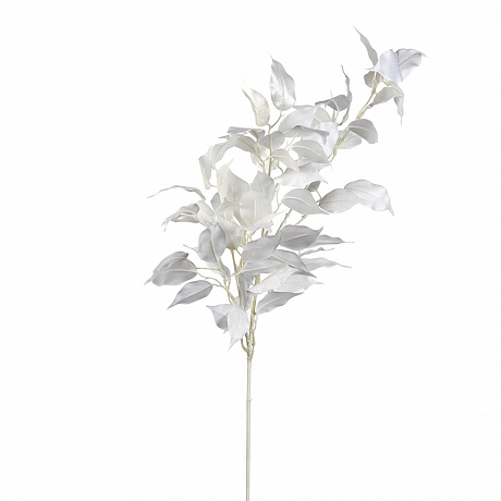 Flock.Snow Thistle Stem